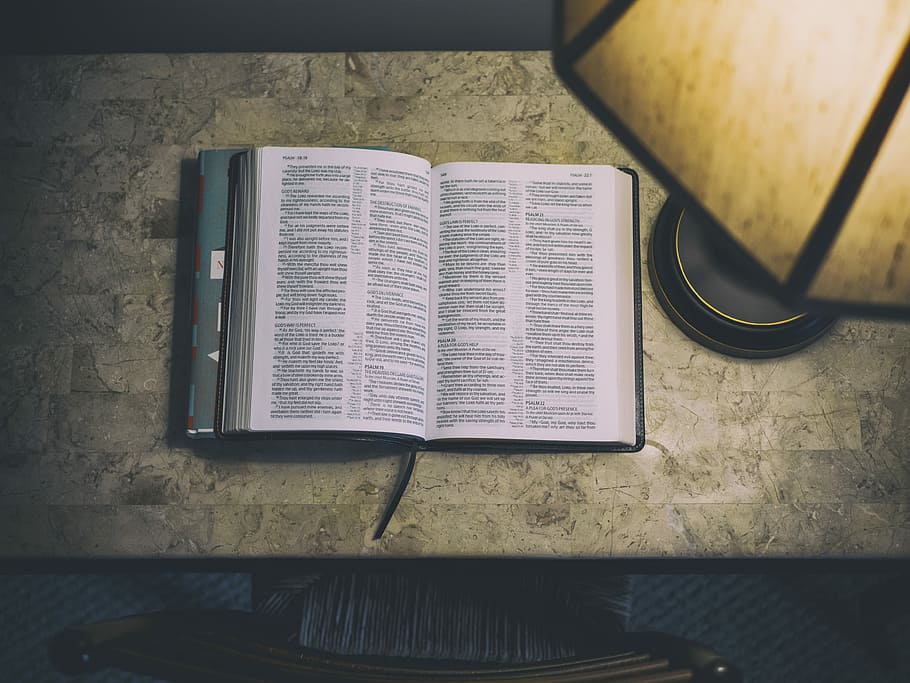 open white and blue book beside table lamp, black book beside brown table lamp HD wallpaper