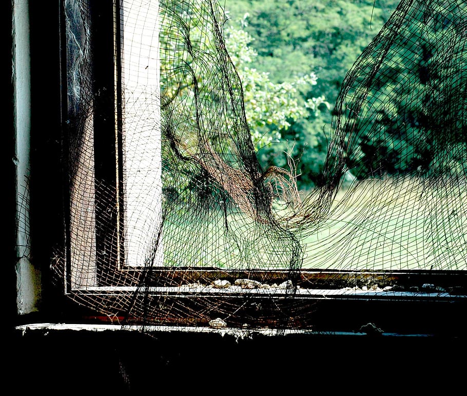window, network, basket case, plant, tree, no people, day, nature, HD wallpaper
