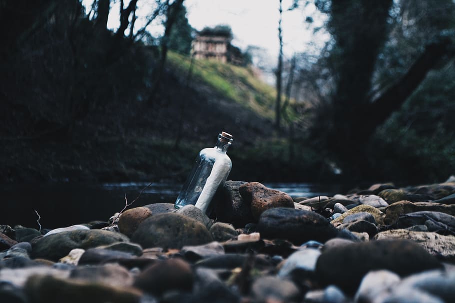 message in a bottle, Message In A Bottle, message, river, note, bottle, nature HD wallpaper