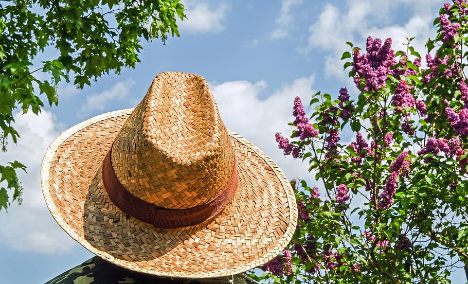 person wearing brown hat near green trees under blue sky at daytime HD wallpaper