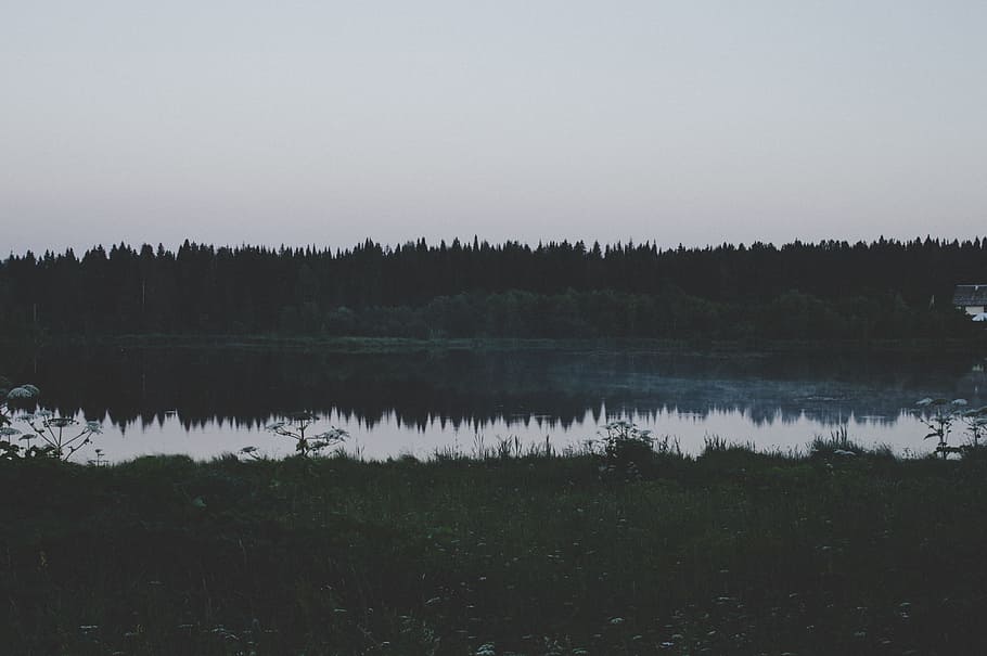 In Distance Body of Water, dark, environment, forest, grass, lake HD wallpaper