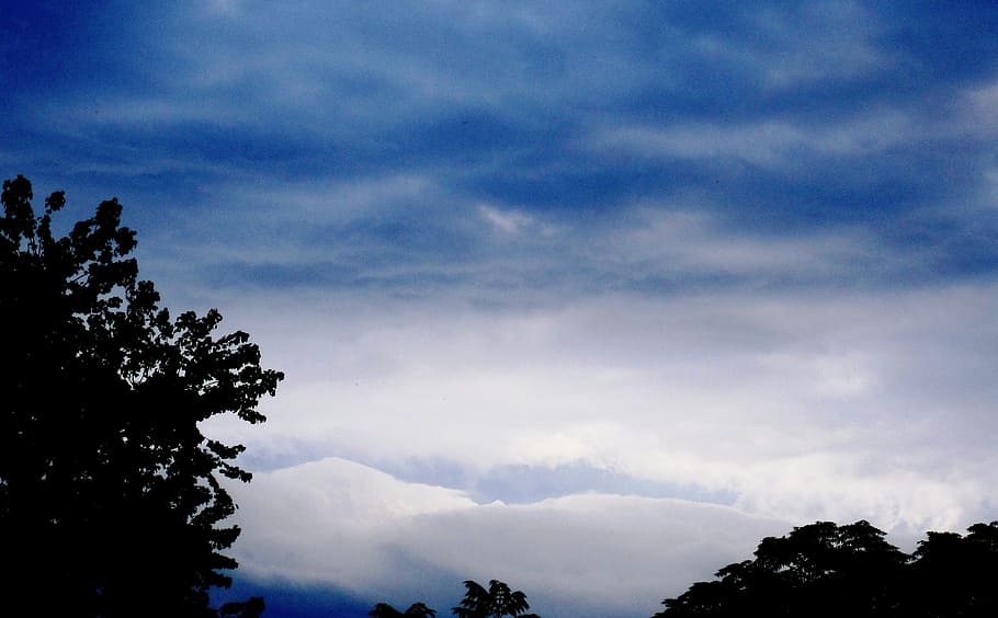 clouds, waves, stormy, moody, blues and white, light, trees HD wallpaper