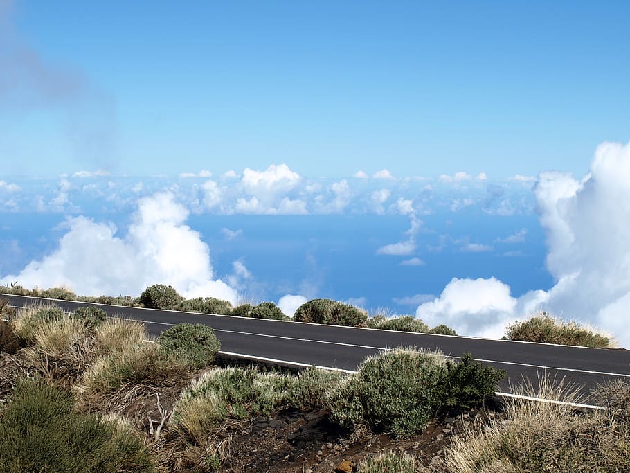 clouds, road, sky, cloud - sky, plant, landscape, nature, day HD wallpaper