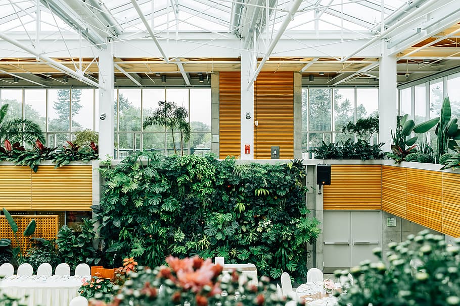 display, plants, design, structure, architectural design, botanical HD wallpaper