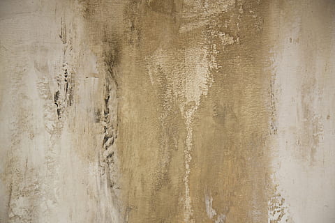 untitled, texture, canvas, artist, paint, design, creative HD wallpaper