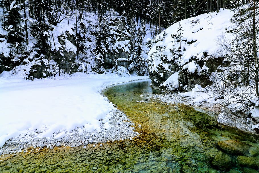 body of water during daytime photo, snow covered field beside body of water HD wallpaper