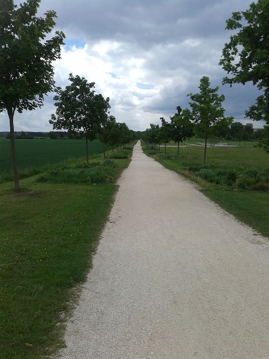 early summer, park, trees, clouds, away, plant, the way forward HD wallpaper