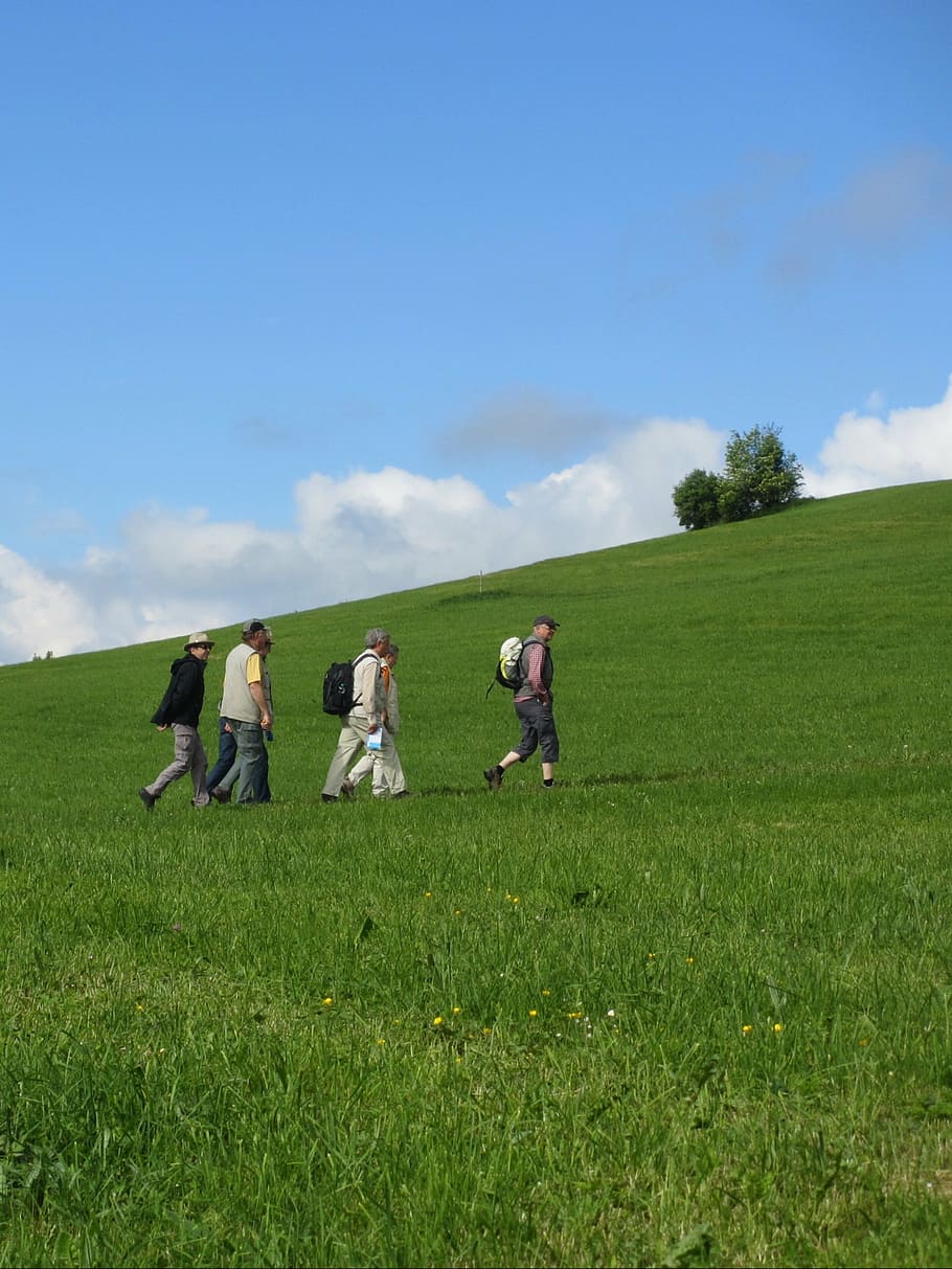 wanderer, away, meadow, sky, blue, landscape, nature, green HD wallpaper