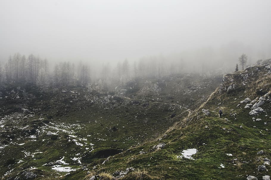adventure, fog, forest, grass, green, hiker, landscape, nature HD wallpaper