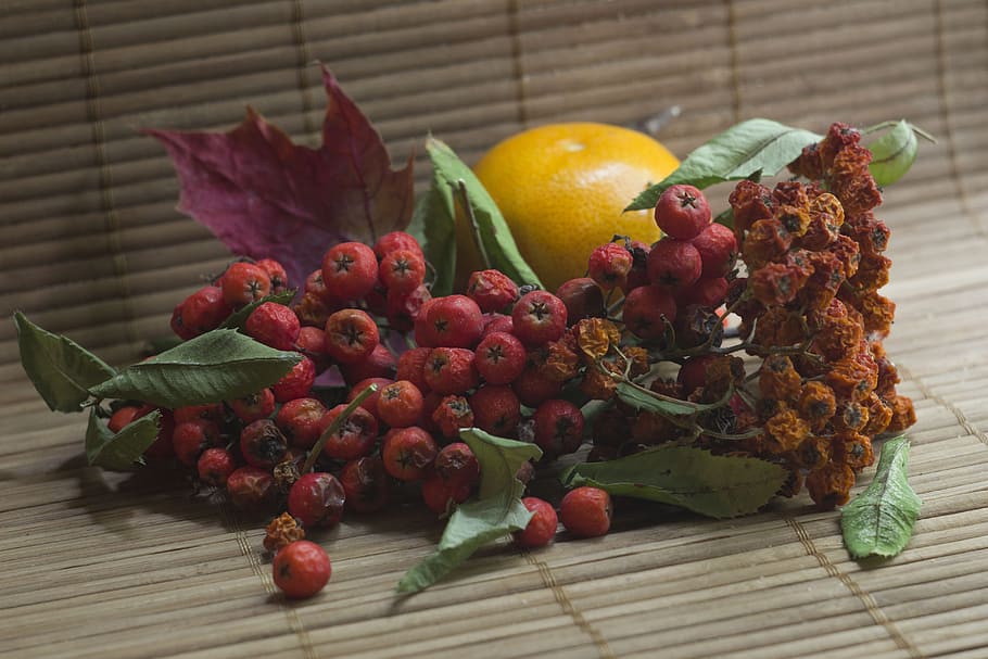 still life, rowan, fruit, composition, berry, food and drink HD wallpaper