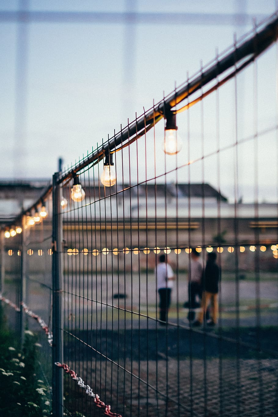 closeup photography of light strips, selective focus photo of filament bulbs on black metal fence HD wallpaper