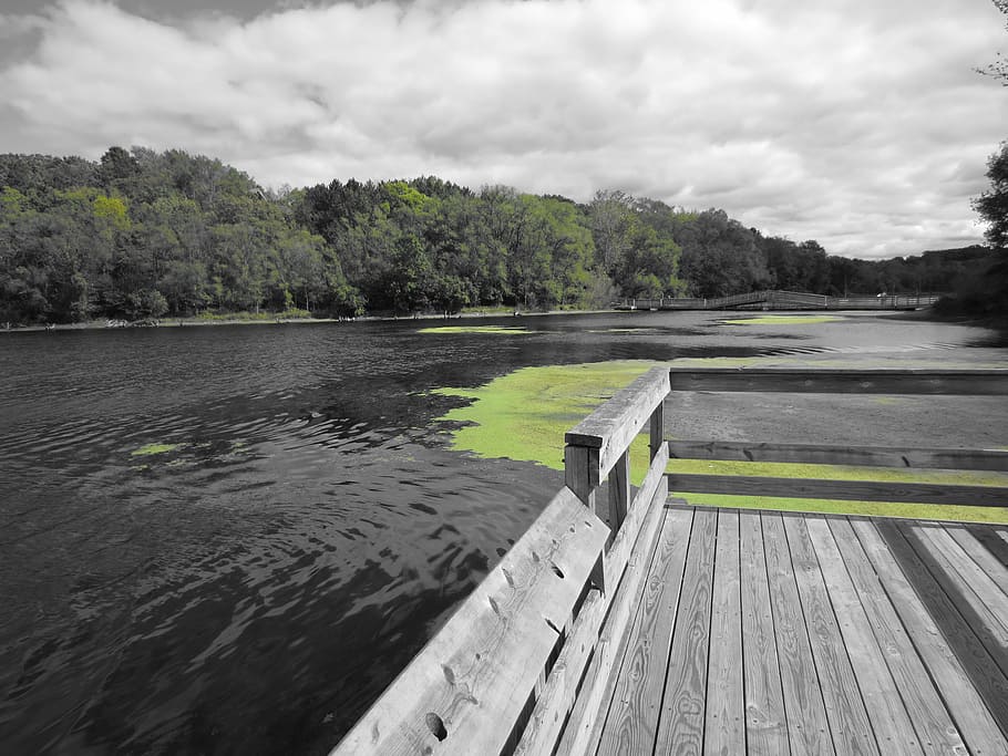 nature, water, dock, cloud - sky, plant, tree, wood - material HD wallpaper
