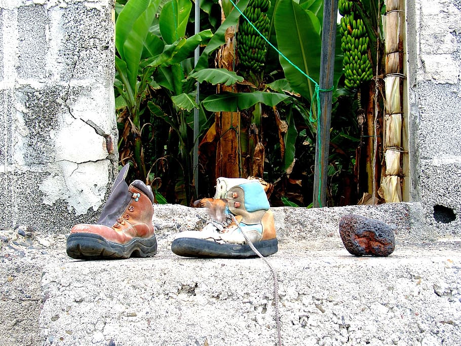shoe, lost, forget, day, real people, plant, nature, architecture HD wallpaper