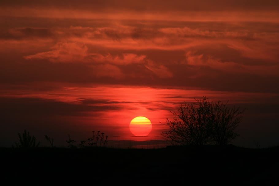 sunset, red, sky, fire, in the evening, cloud, beauty in nature HD wallpaper