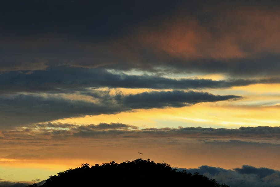 sunset, clouds, streaks, dark, blue, gold, orange, yellow, light HD wallpaper
