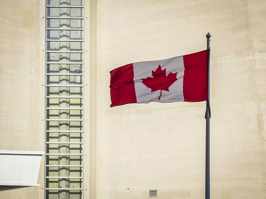 Canada flag, canadian flag, maple, leaf, flagpole, flag pole, HD wallpaper