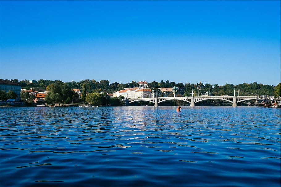 water, bridge, trees, buildings, architecture, buoy, connection HD wallpaper