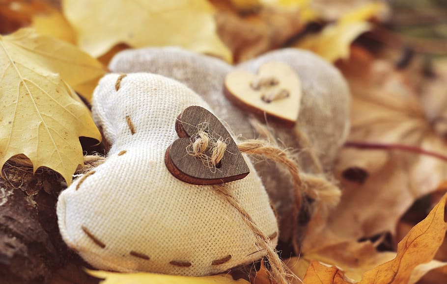 two white and gray heart charms, autumn, leaves, true leaves, HD wallpaper