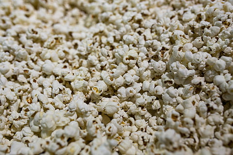 Close-up of popcorn, white, snack, kernel, backgrounds, macro HD wallpaper