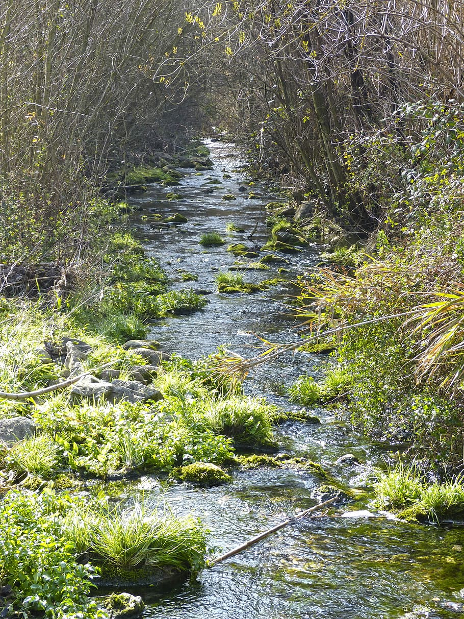River, Siurana, Current, brook, natural water, nature, stream HD wallpaper