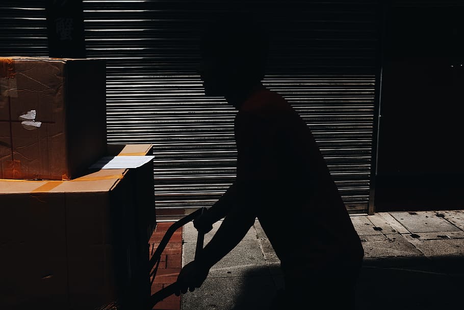 man pushing hand truck with brown boxes, silhouette photo of man holding frame HD wallpaper