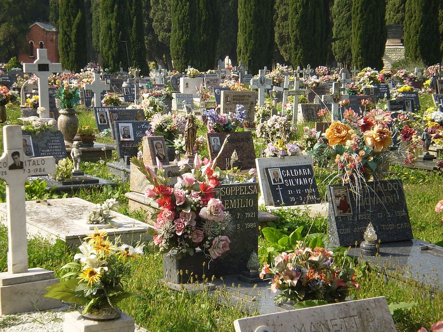 venice, st michele, graves, cemetery, plant, flower, flowering plant, HD wallpaper