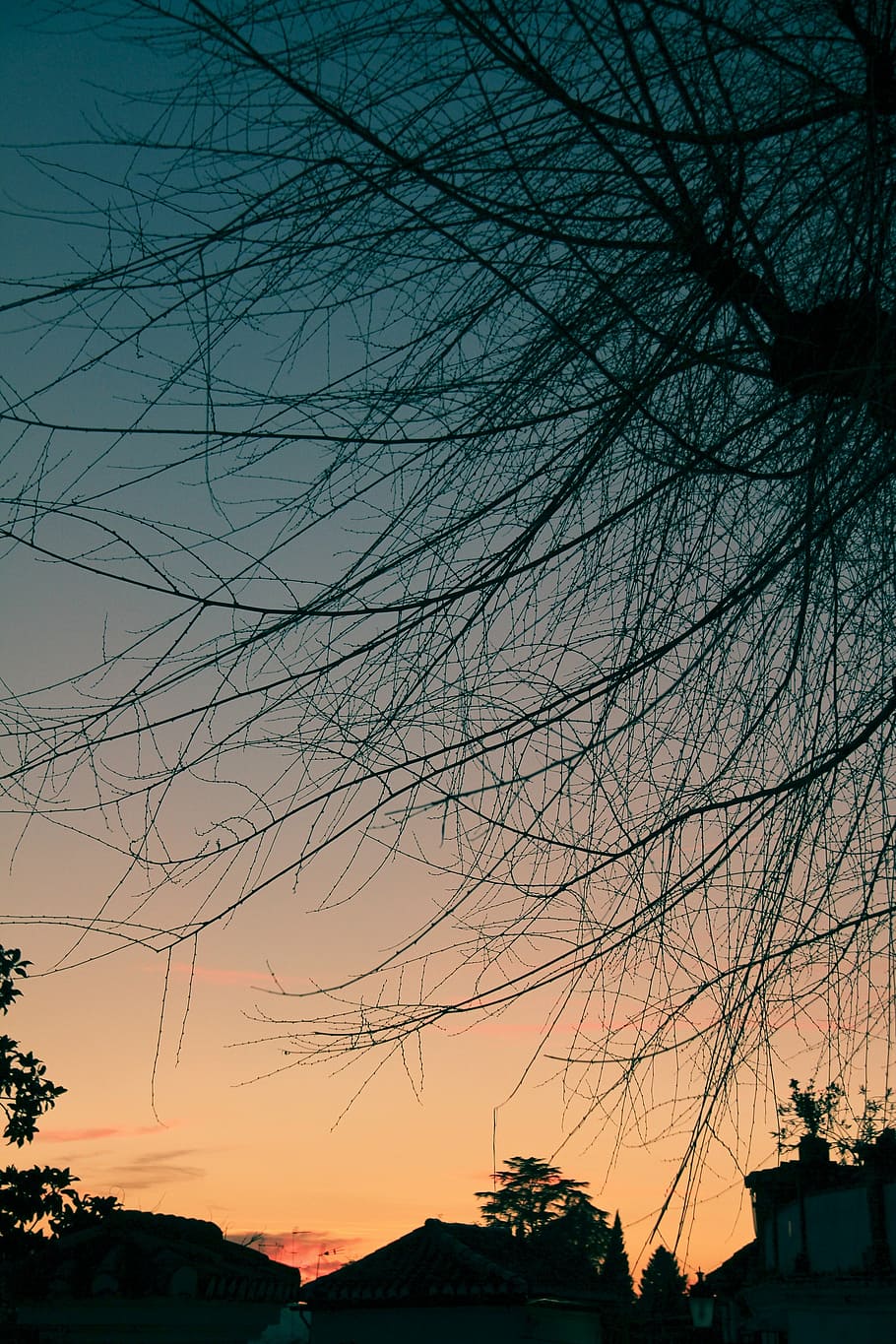 sunset, landscape, tree, sky, architecture, silhouette, built structure HD wallpaper