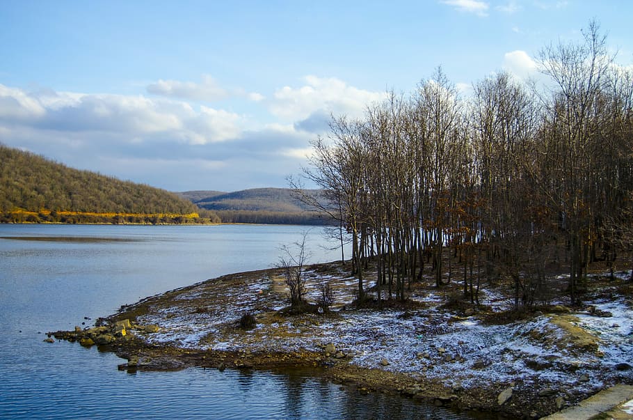 Winter, Cold, Dam, Tree, Snow, White, trees, backgrounds, snow landscape HD wallpaper