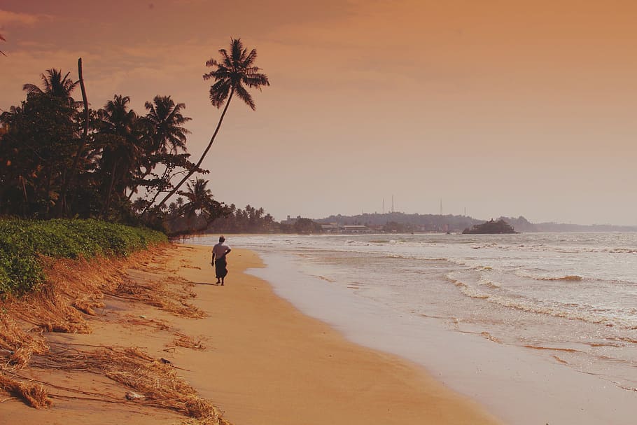 beach, man, alone, summer, sea, male, ocean, person, travel HD wallpaper