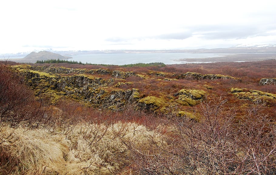 iceland, the tectonic plates, tranquil scene, beauty in nature HD wallpaper
