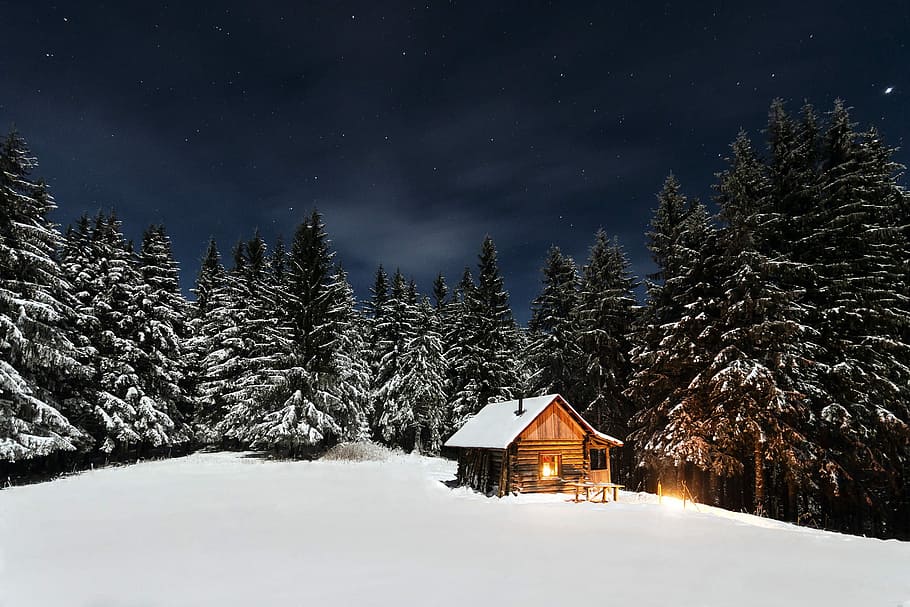 trees with brown house, snow, cabin, winter, nature, forest, landscape, HD wallpaper