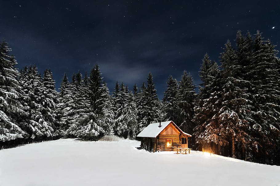 trees with brown house, snow, cabin, winter, nature, forest, landscape HD wallpaper