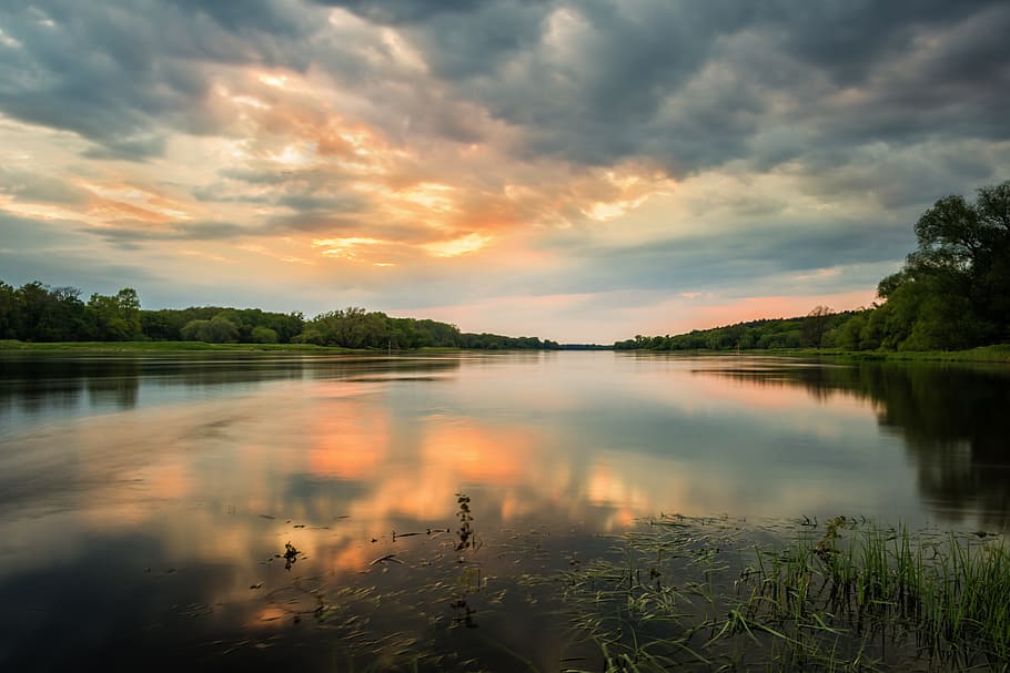 photo of body of water near green trees and grasses, elbe, river HD wallpaper