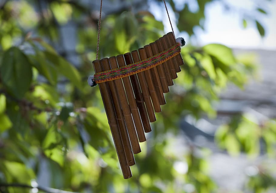 pan flute, musical instrument, decoration, garden, tree, leaves