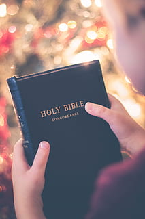 child holding Holy Bible book, reading, religious, hand, human hand HD wallpaper