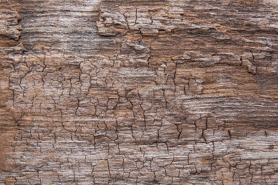 gray tree bark, wood, structure, fund, driftwood, old, weathered HD wallpaper