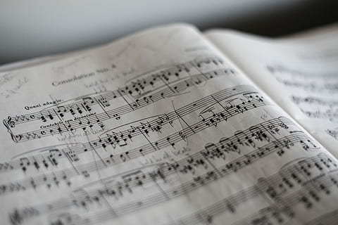 tilt selective photograph of music notes, music note text on paper HD wallpaper