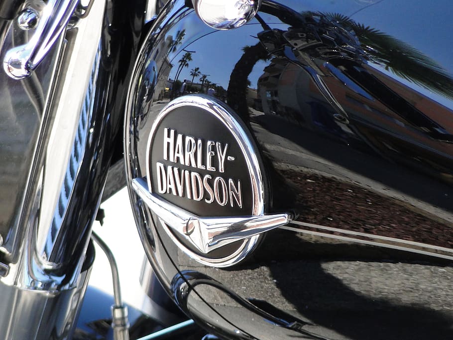 road, classic, speed, harley davidson, transportation, mode of transportation HD wallpaper