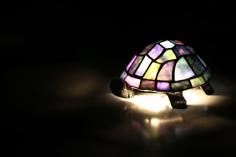 lamp, light, turtle, deco, colorful, dark lighting, lighting equipment HD wallpaper