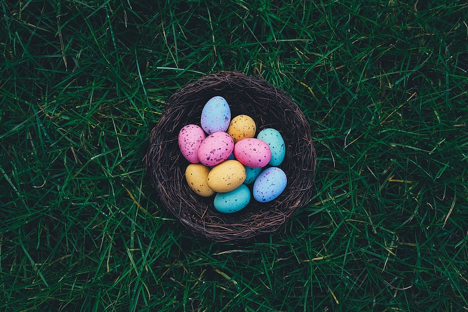 Easter Eggs on brown nest, flat-way photography of egg on nest HD wallpaper