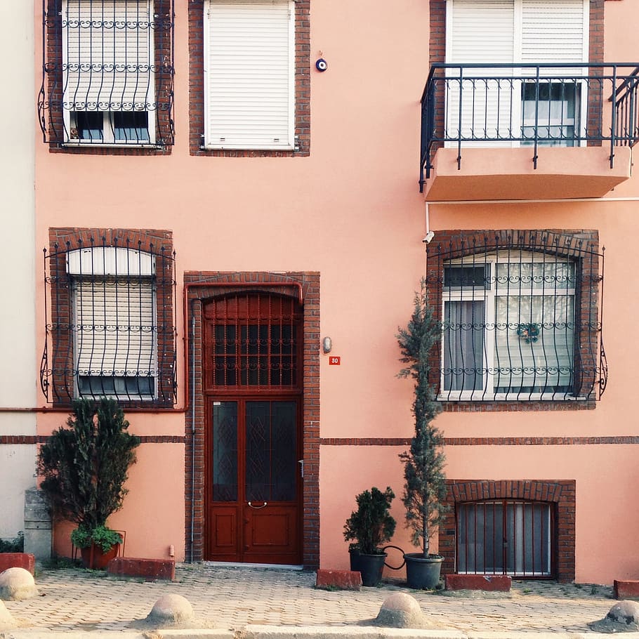 several potted green leaf plants beside pink painted house HD wallpaper