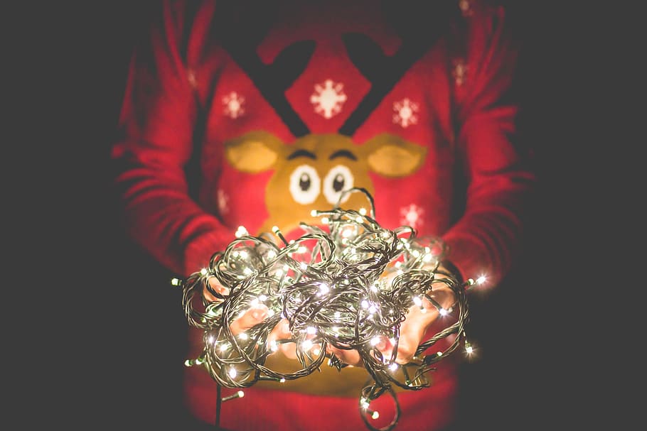 Man in Christmas Sweater Holding Christmas Lights, christmas decoration