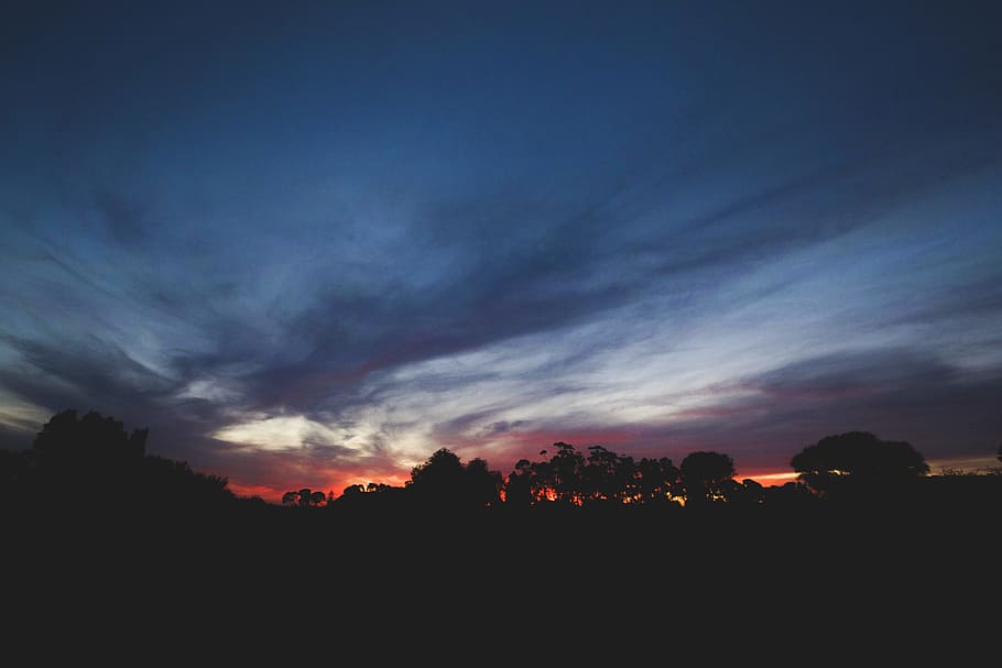 silhouette of trees during orange sunset, silhouette of trees under cloudy sky during sunset HD wallpaper