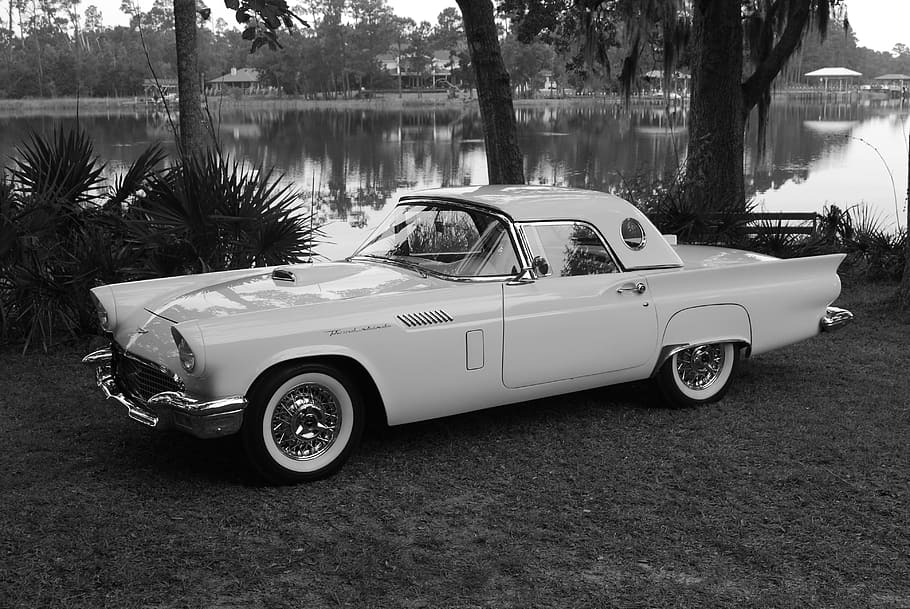 thunderbird, ford, car, auto, automobile, transportation, car show HD wallpaper