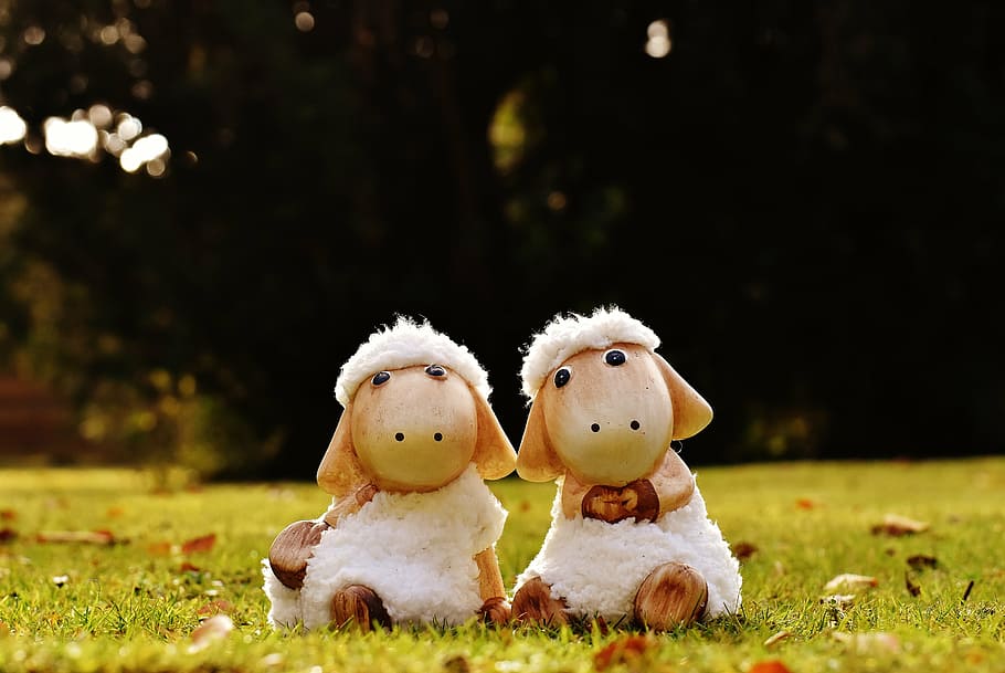 sheep, deco, ceramic, cute, figure, soft toy, wool, face, ungulate HD wallpaper