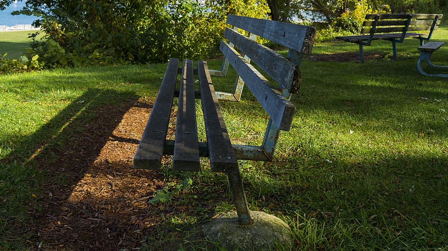 bench, sunlight, grass, autumn, relaxation, park, plant, nature HD wallpaper