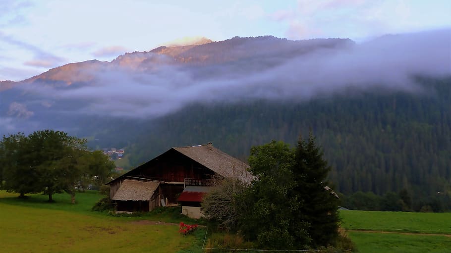 sun rise, chatel, alps, mist, cloud, landscape, france, mountains HD wallpaper