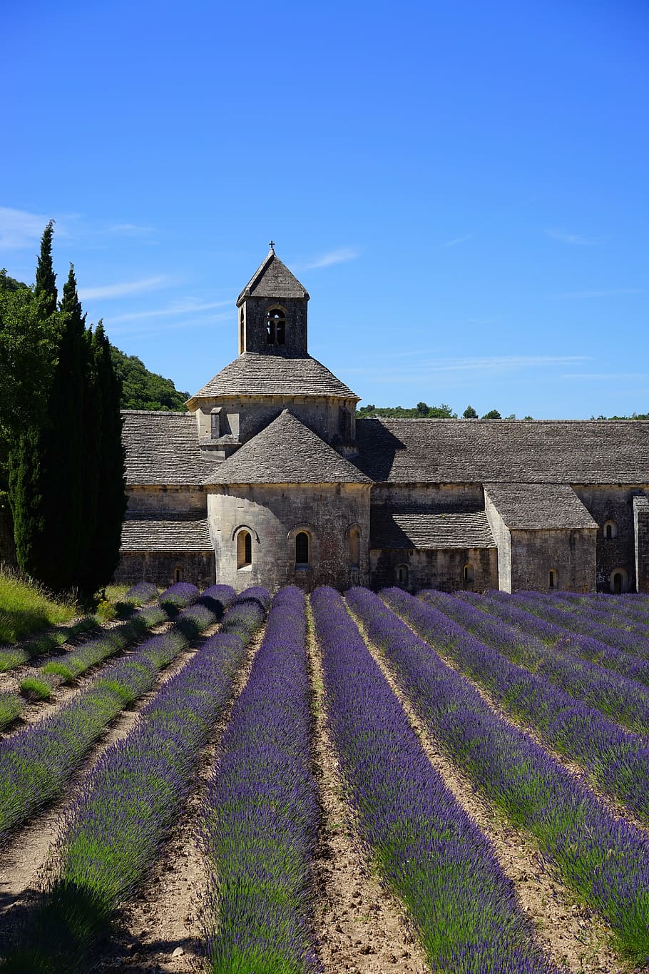 gray painted cathedral, church, monastery, abbey, abbaye de sénanque HD wallpaper