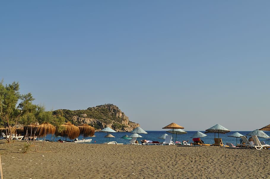 Datca, Beach, Turkey, animal themes, sand, sky, large group of animals HD wallpaper