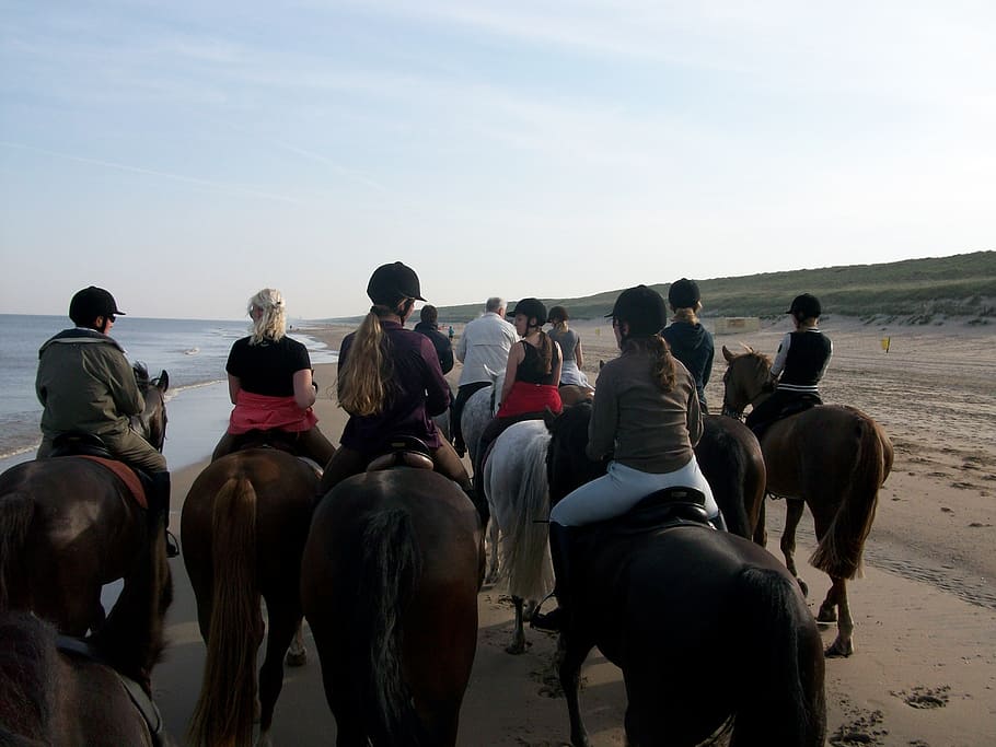 horses, beach, beach ride, spring, cosy, group, rider, riders HD wallpaper